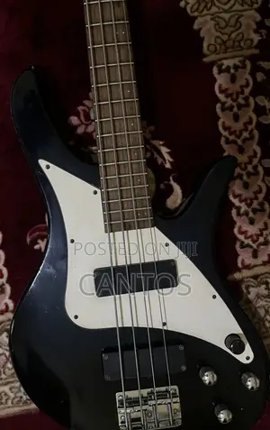 Korean Made 4 String Bass Guitar (1998 Vintage) – Excellent Sound