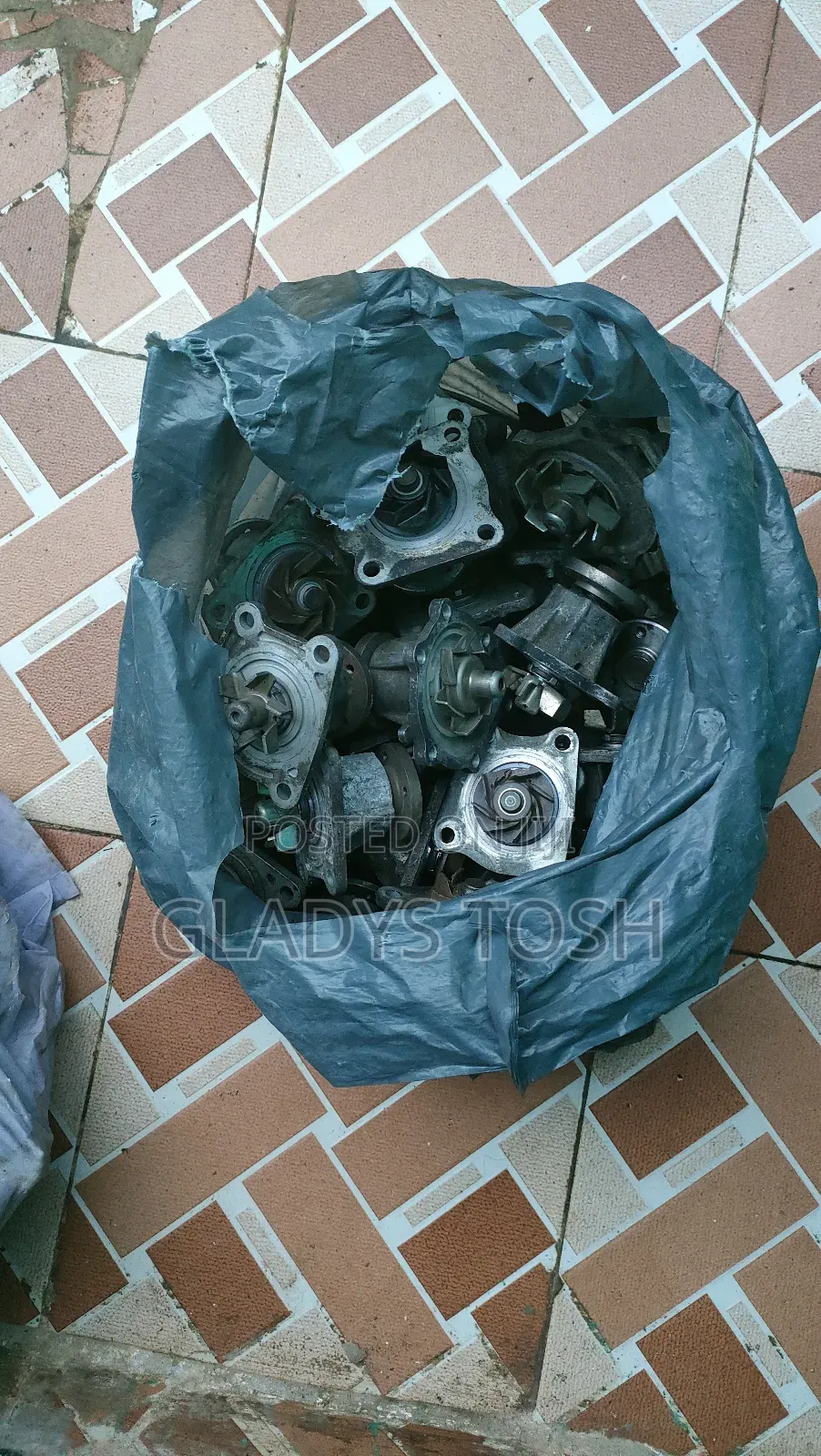Suzuki Water Pumps.
