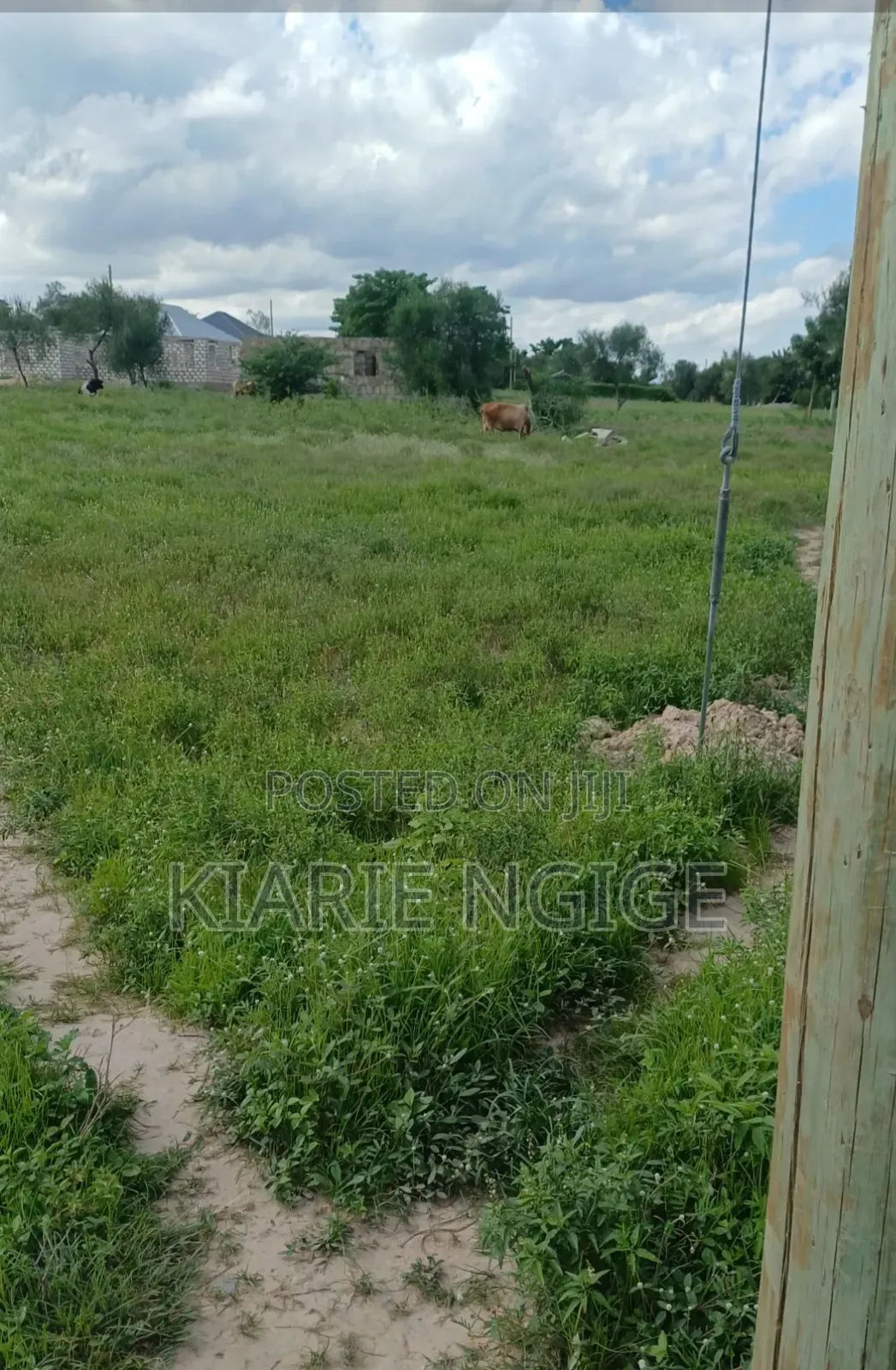 Plot in Mariakani Msifuni With Title