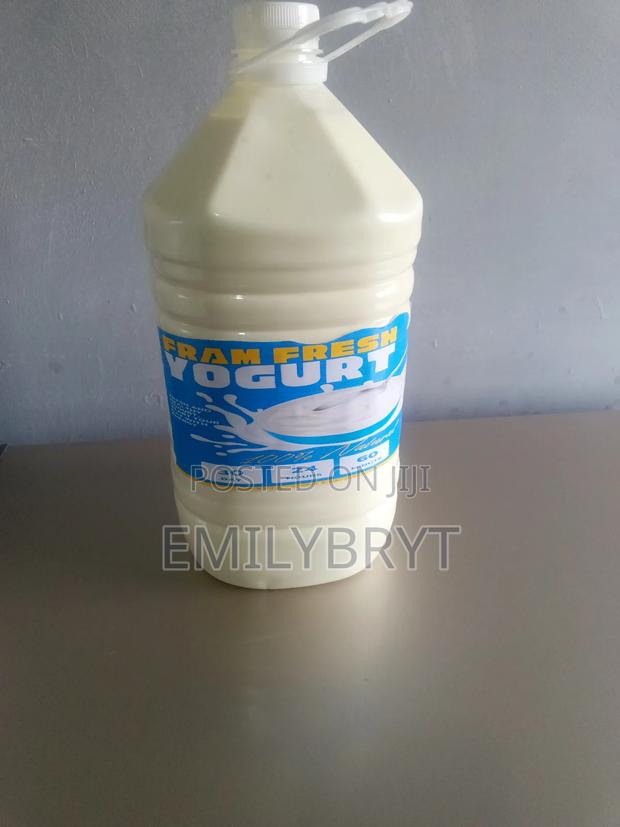 Natural Yoghurt for Sale