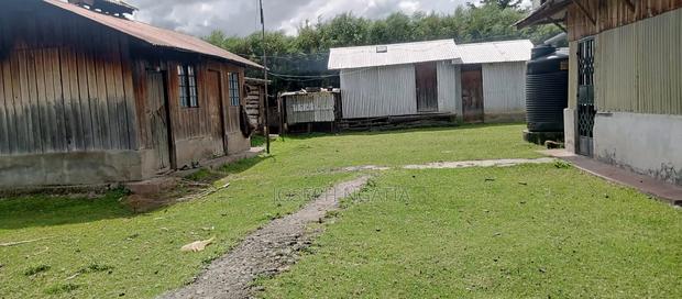 9 Acres on Quick Sale - thumbnail 6