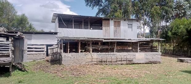 9 Acres on Quick Sale - thumbnail 9