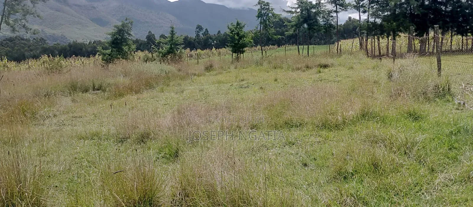 9 Acres on Quick Sale