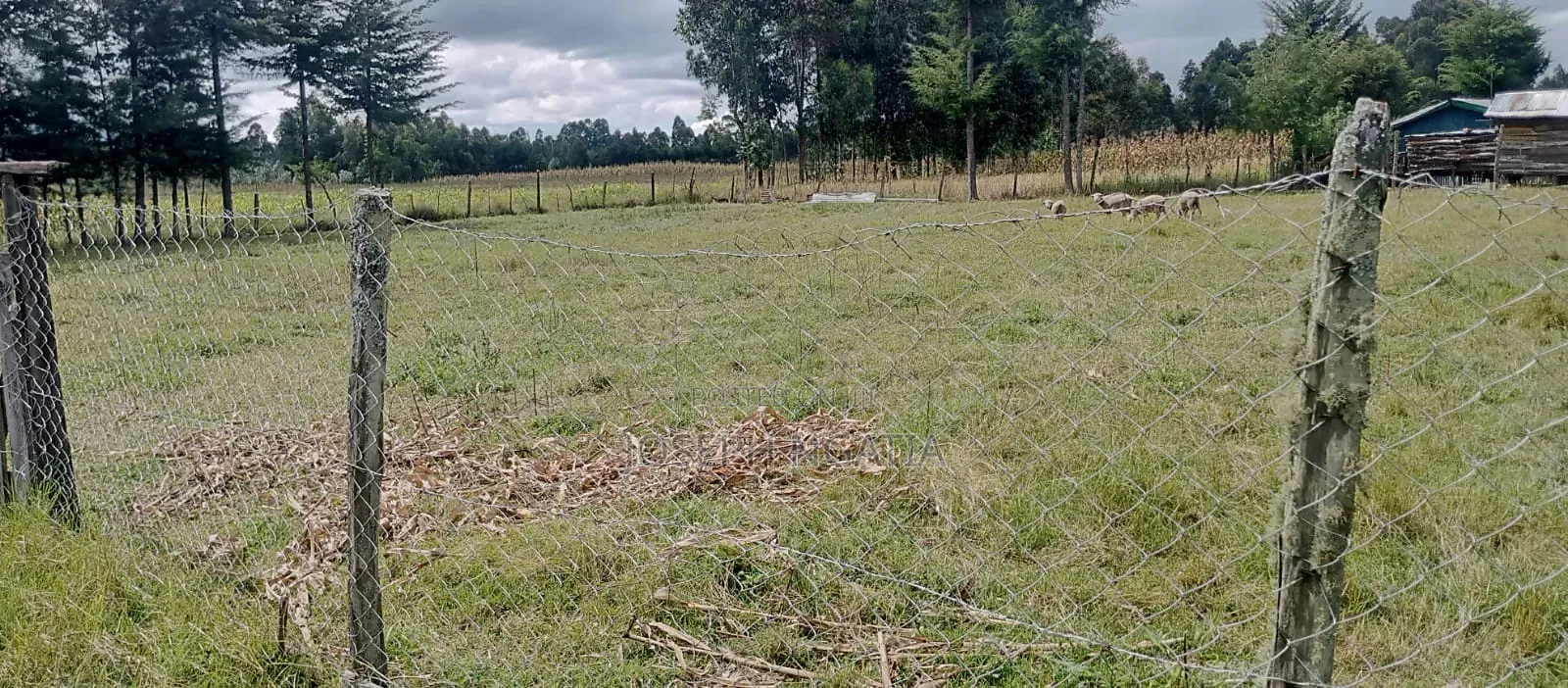 9 Acres on Quick Sale