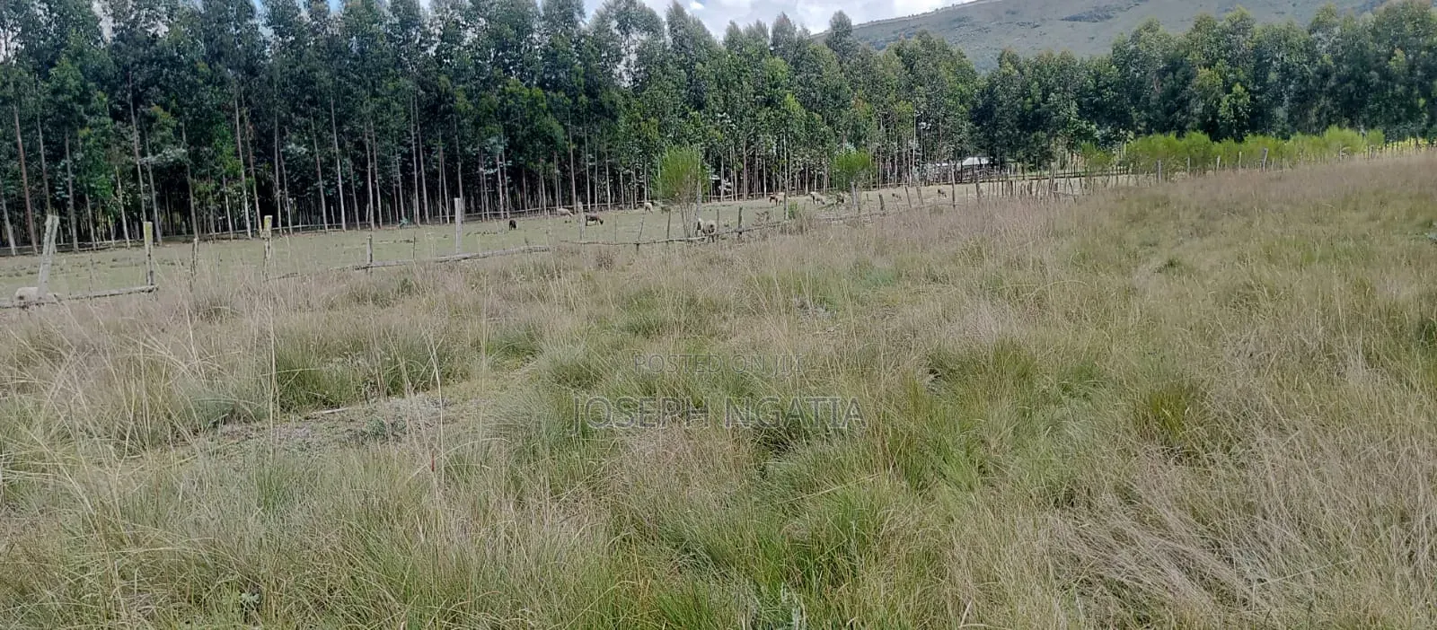 9 Acres on Quick Sale