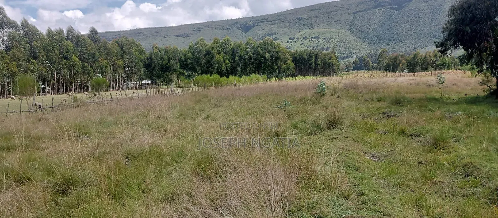 9 Acres on Quick Sale