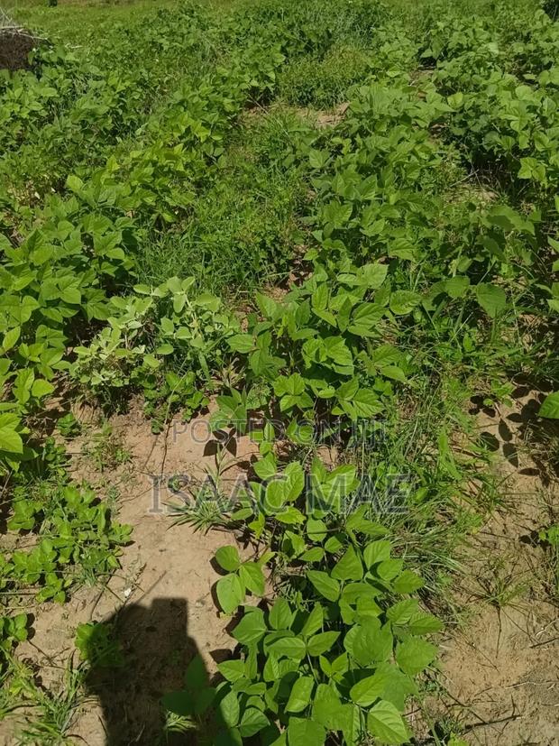 7.5 Acres Ready for Sale at Kilifi Chakama Phase 2 With Ready Tittle
