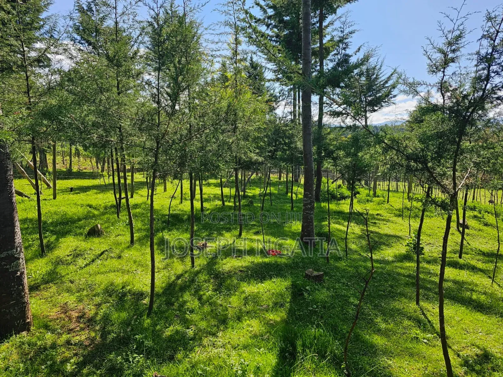 5bdrm House in Mukungi, Kipipiri for sale