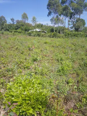 Plot for Sale