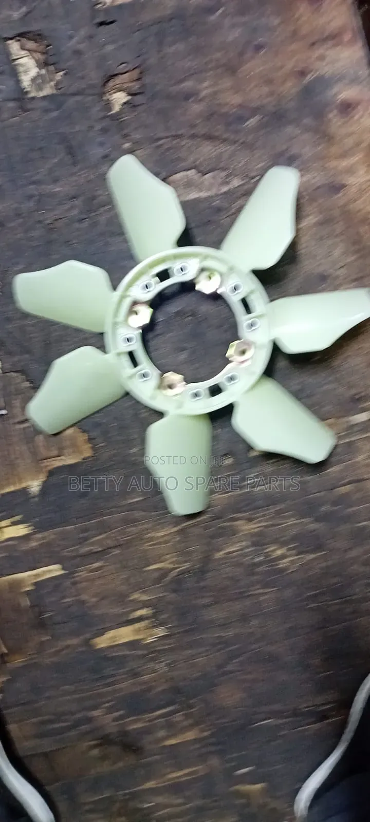 Toyota Shark 5l Fun