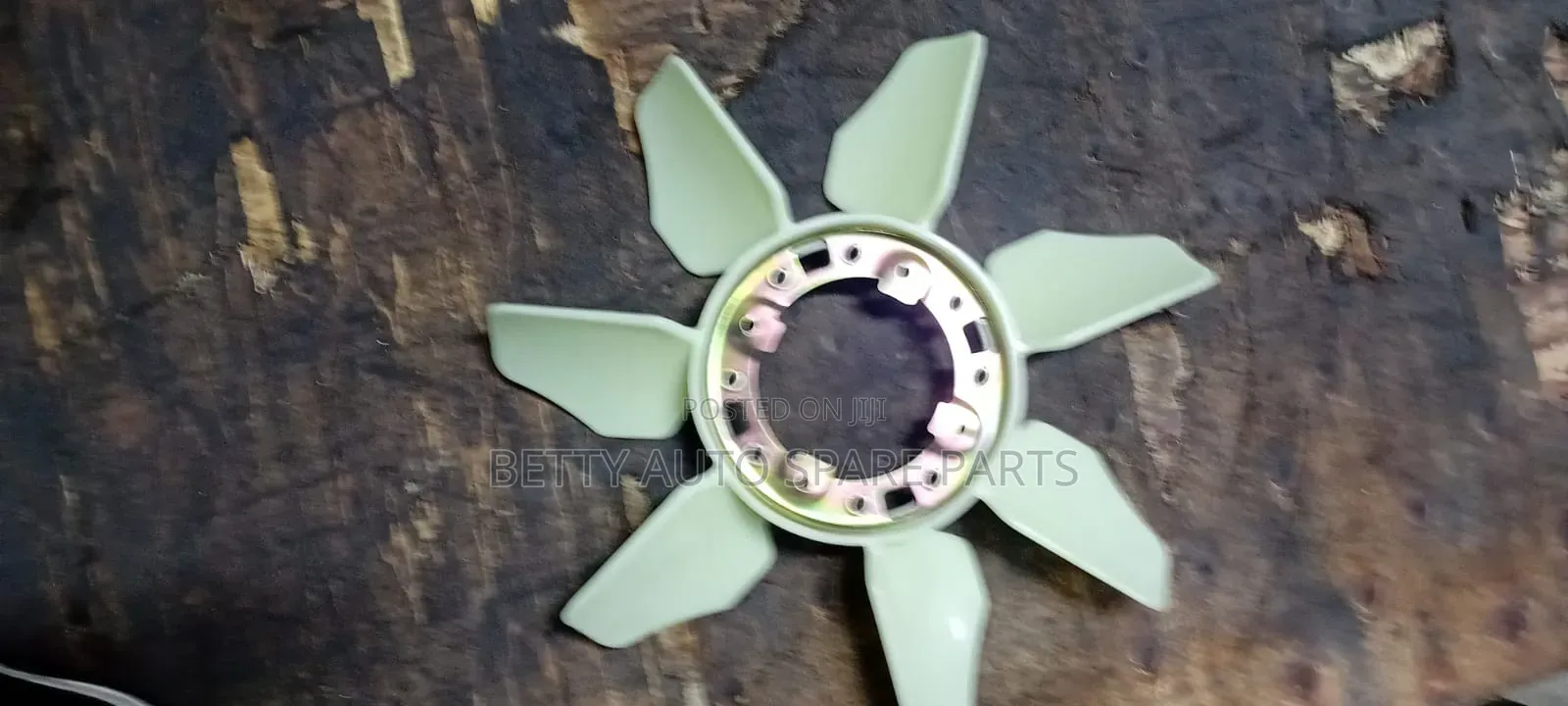 Toyota Shark 5l Fun