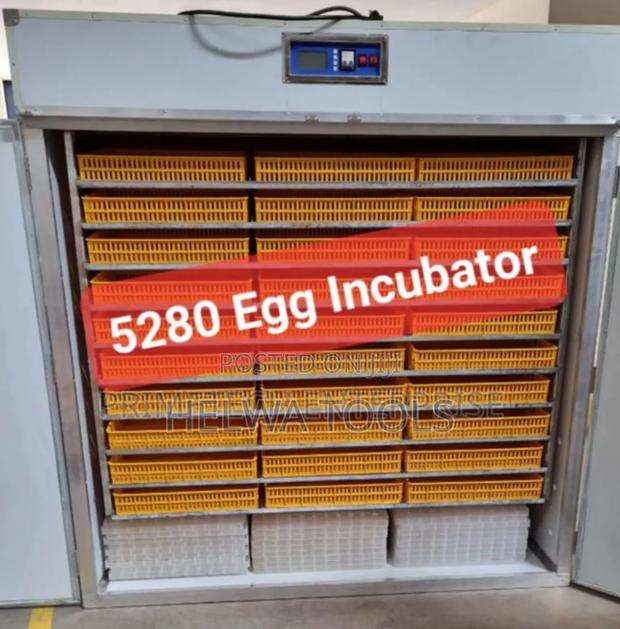 Automatic Eggs Incubator 5280 Incubator - main view