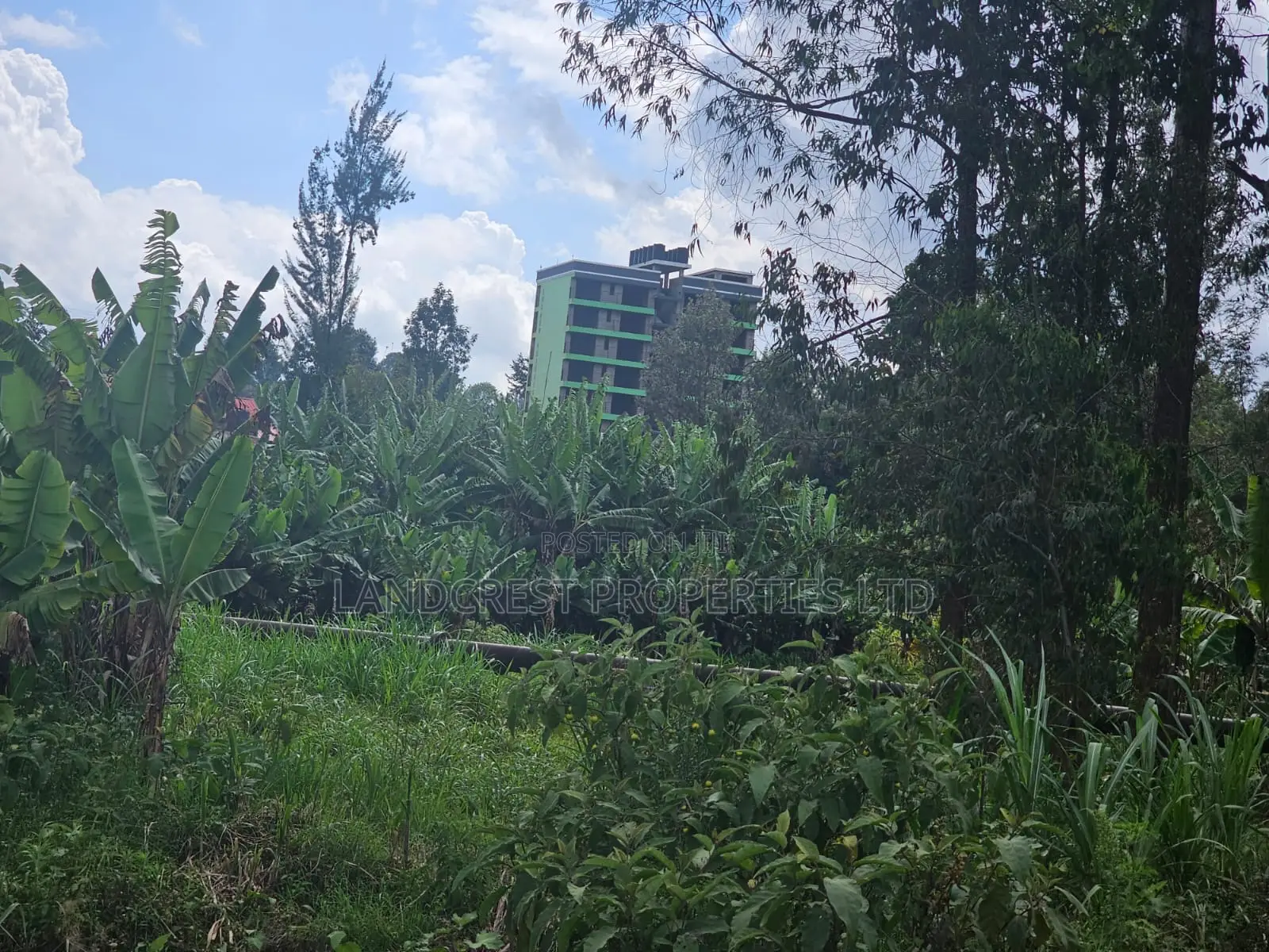 Prime 1/8 Acre Plot for Sale Ruaka, Muchatha