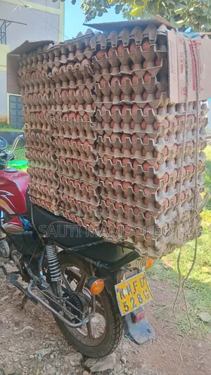 Grade Eggs For Sale