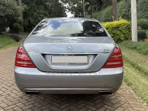 Mercedes-Benz S-Class S 350 CDI BlueEFFICIENCY (W221) 2010 Gray