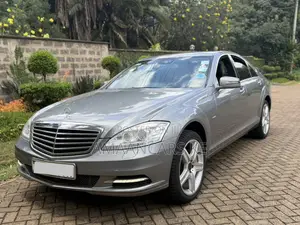 Mercedes-Benz S-Class S 350 CDI BlueEFFICIENCY (W221) 2010 Gray