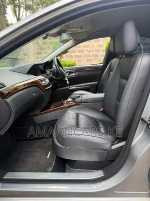 Mercedes-Benz S-Class S 350 CDI BlueEFFICIENCY (W221) 2010 Gray