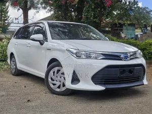 Toyota Corolla Fielder 2019 White
