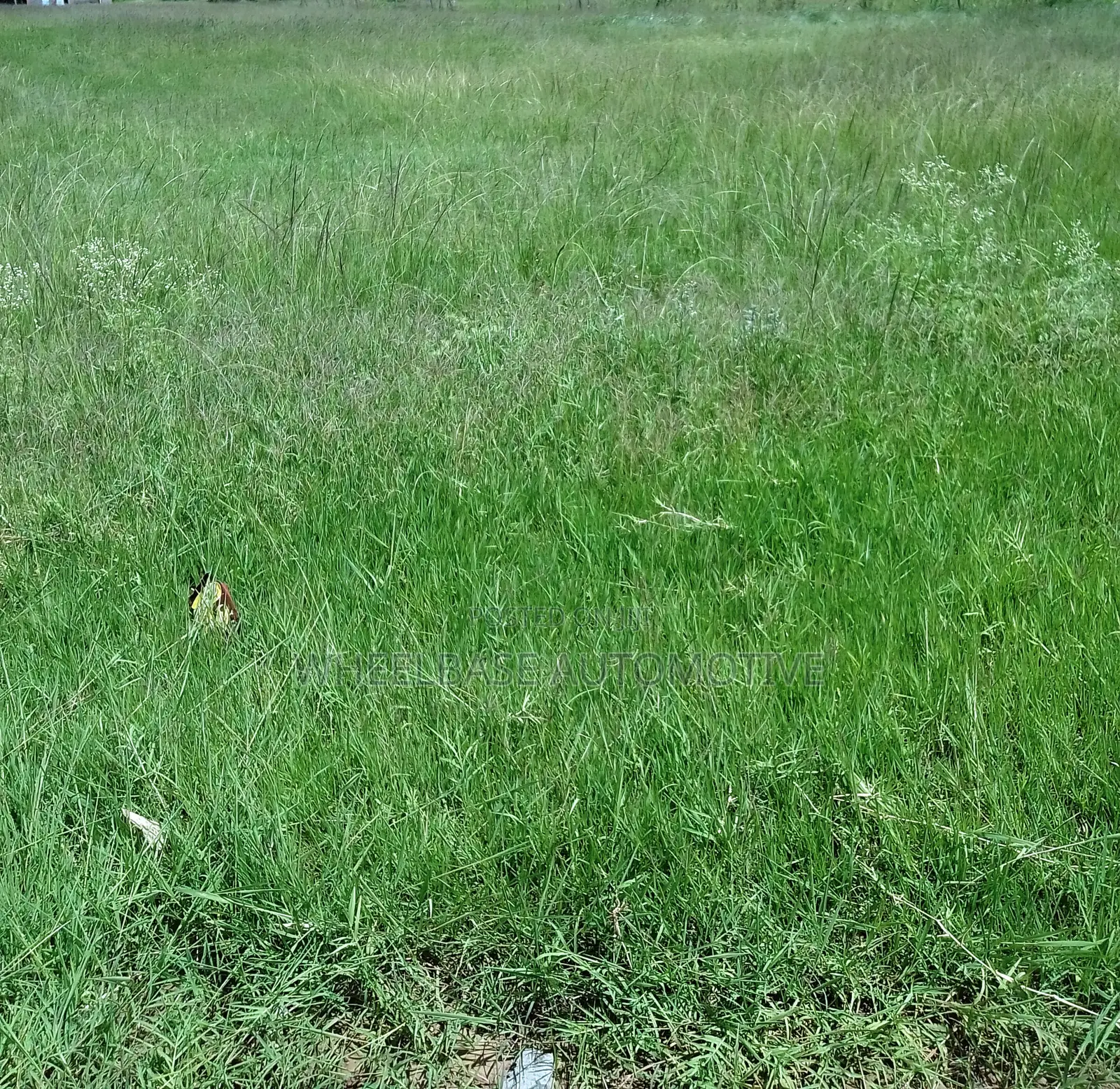 100 Acres for Sale in Kipeto Kiserian Ready for Subdivision, Farming