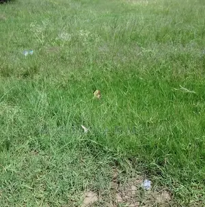 100 Acres for Sale in Kipeto Kiserian Ready for Subdivision, Farming