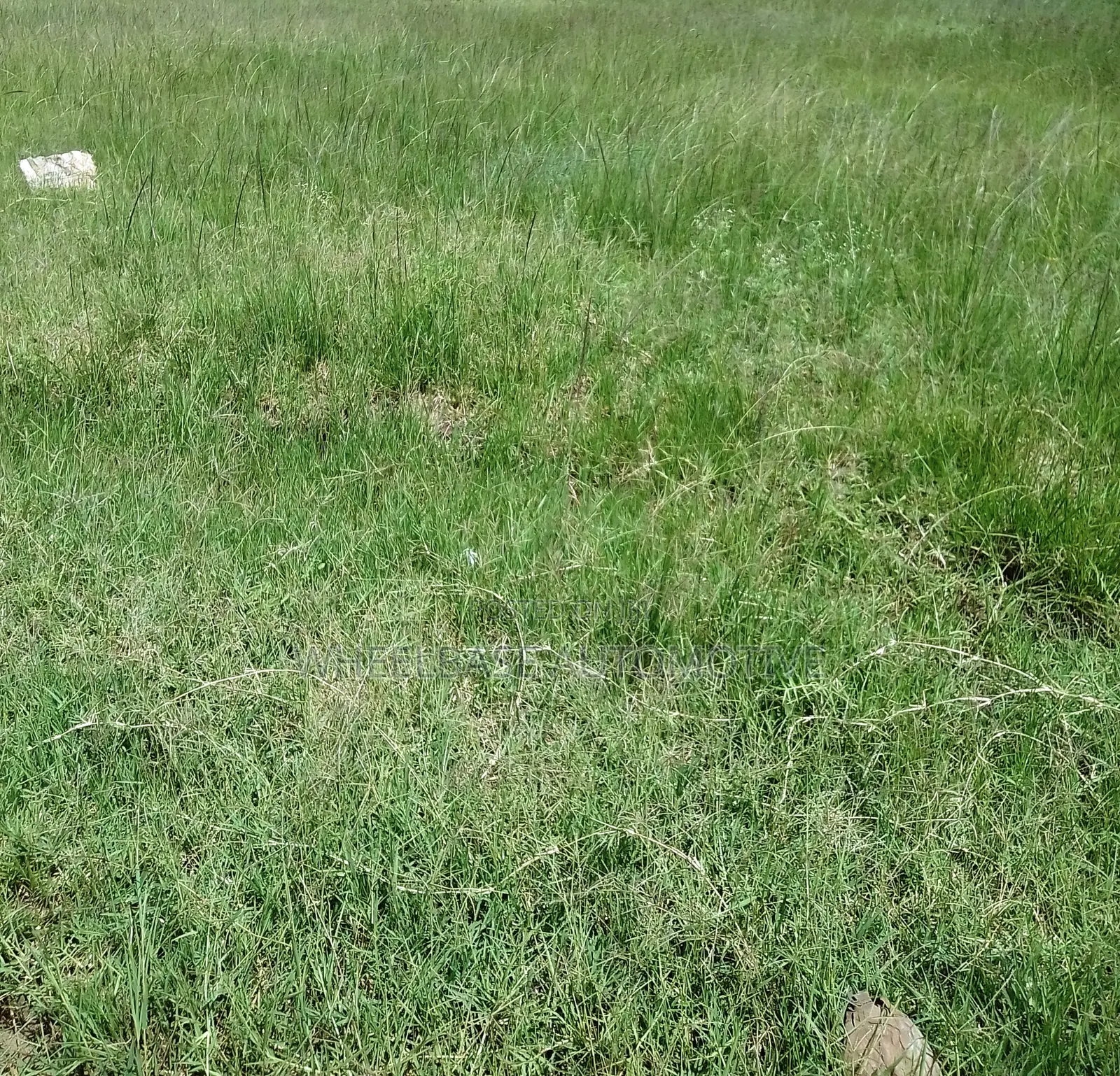 100 Acres for Sale in Kipeto Kiserian Ready for Subdivision, Farming