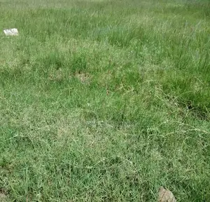100 Acres for Sale in Kipeto Kiserian Ready for Subdivision, Farming