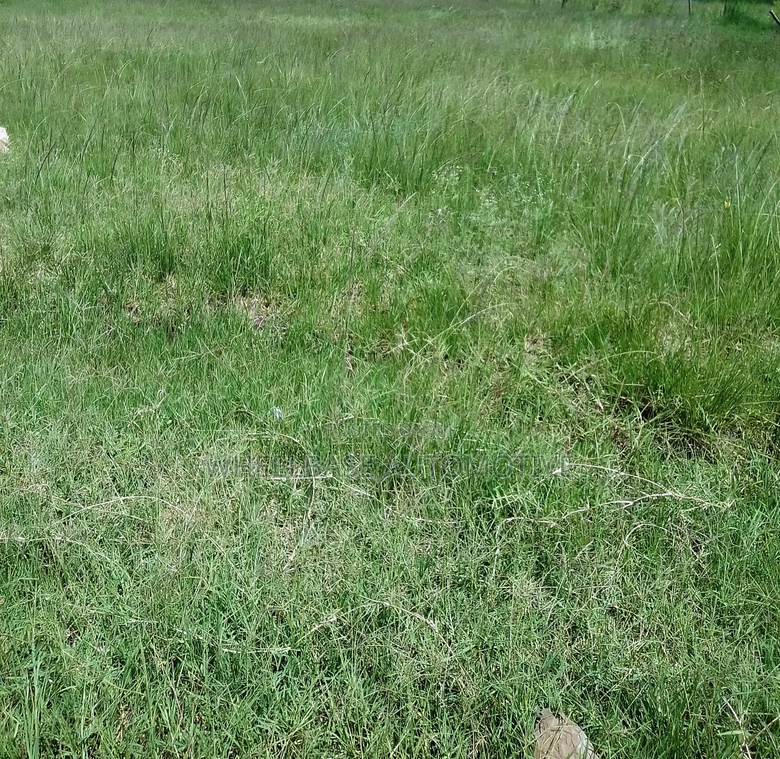 100 Acres for Sale in Kipeto Kiserian Ready for Subdivision, Farming