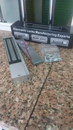 Electric Magnetic Door Lock