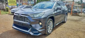 Toyota RAV4 Adventure 2019 Gray