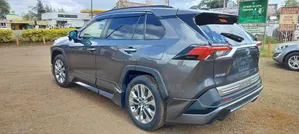 Toyota RAV4 Adventure 2019 Gray