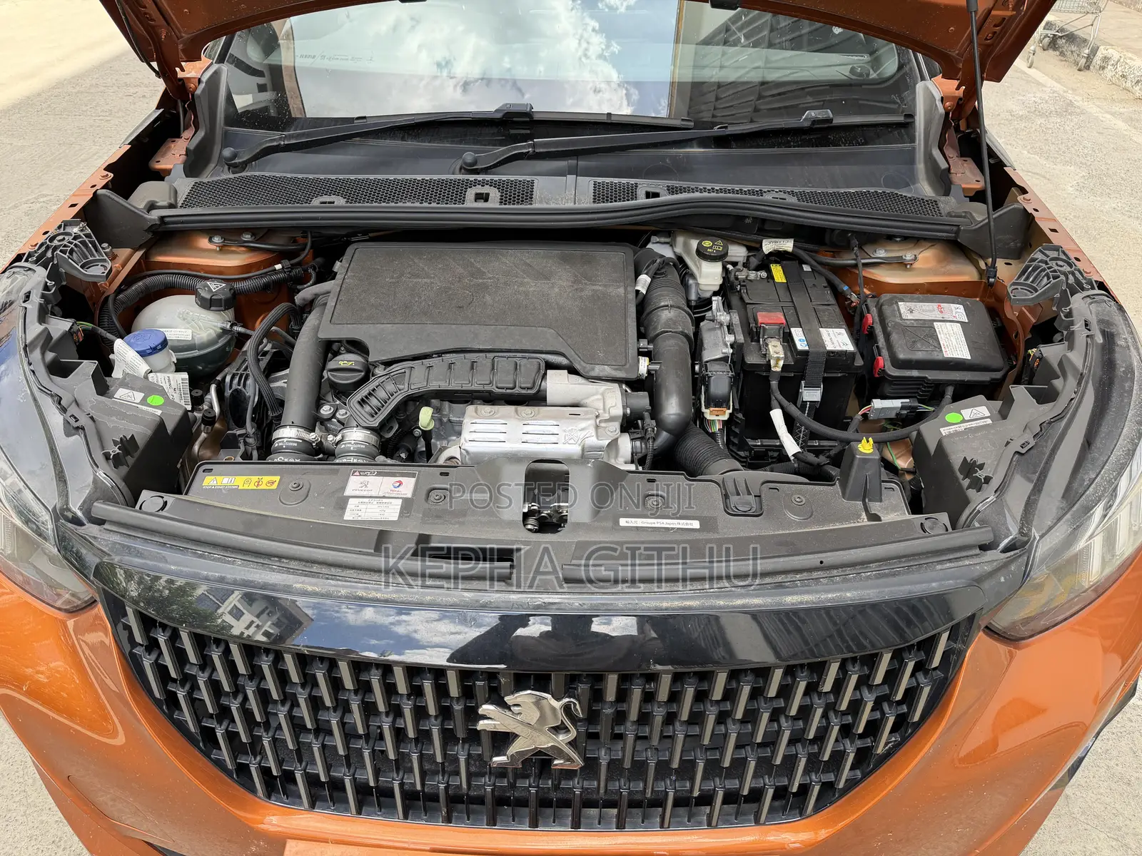 Peugeot 2008 1.2 PureTech (130 Hp) 2020 Brown