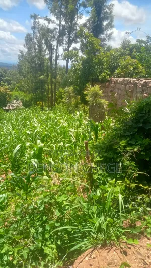 Half an Acre With Homestead