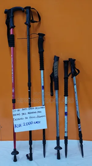 Anti-Shock Adjustable Hiking