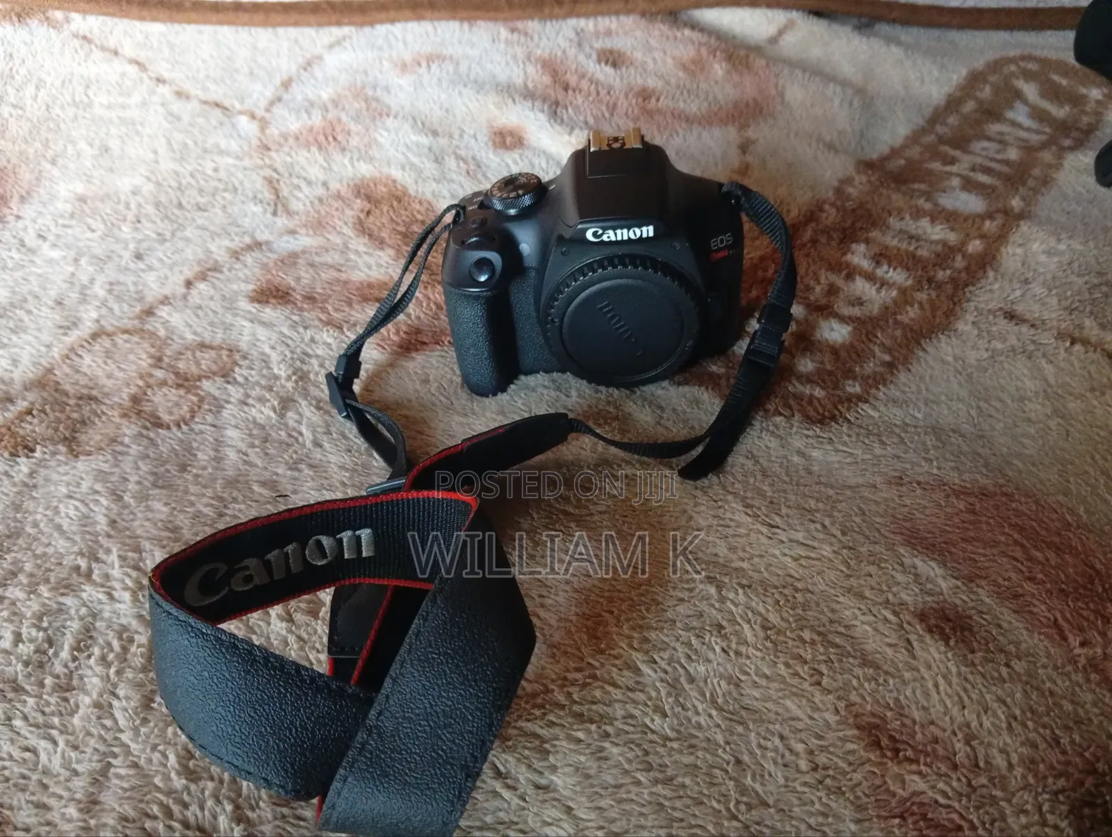 Canon Camera