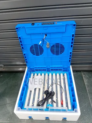 64 Egg Automatic Incubator Ac/Dc Digital Poultry Hatcher