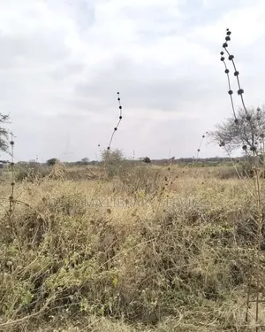 16 Acre at Mailua, Mile Tisa, Ready to Make You Money, Dragon Fruits