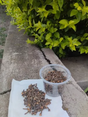 Natural Herbs and Seeds
