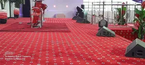 Durable Ruby Pattern Carpet for High Traffic Areas