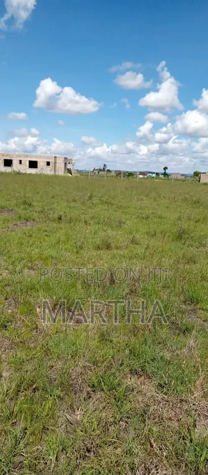 Affordable Plots in Juja Farm