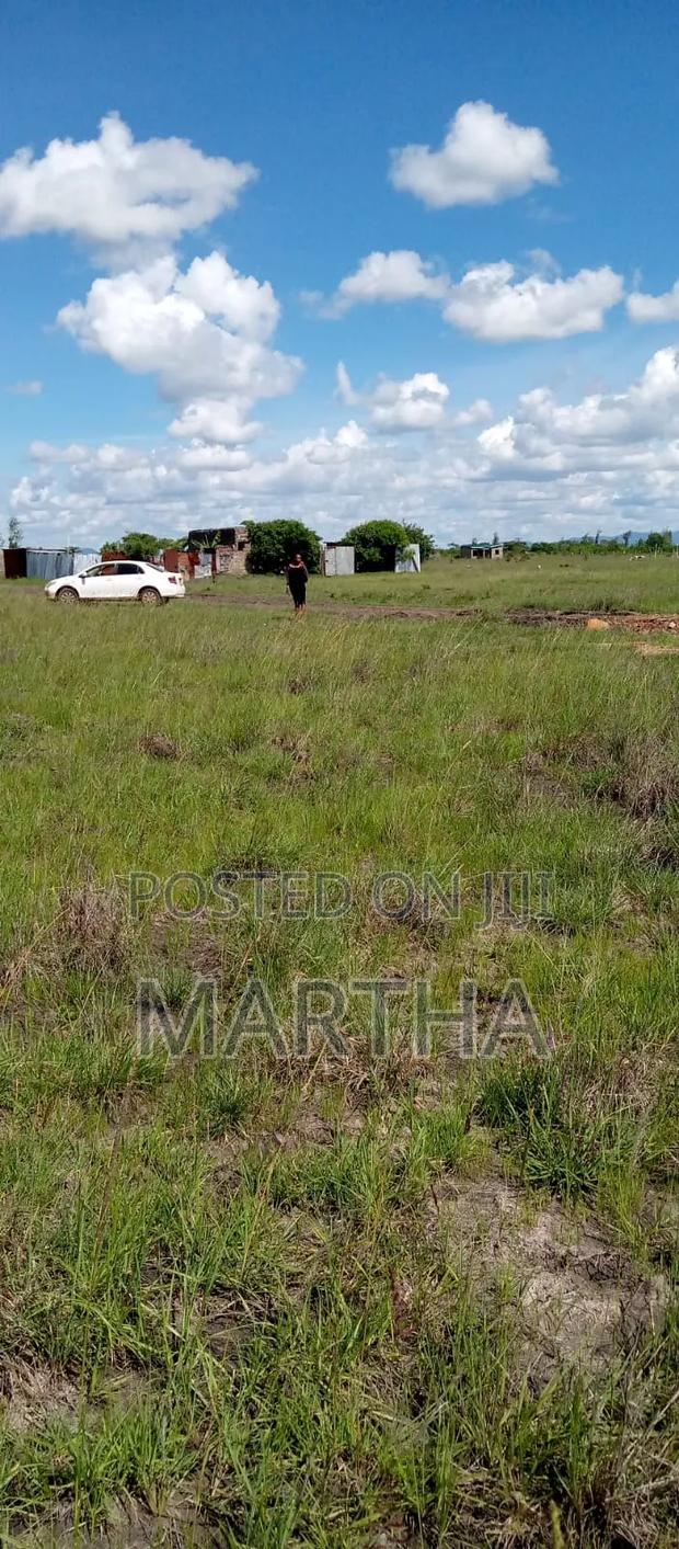 Affordable Plots in Juja Farm - thumbnail 2