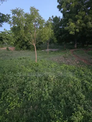 3.25 Beach Front Land For Sale In Diani Ukunda