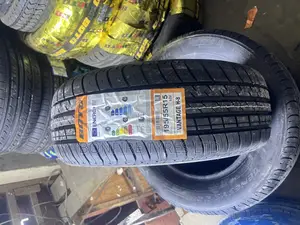 195/55r15 Boto