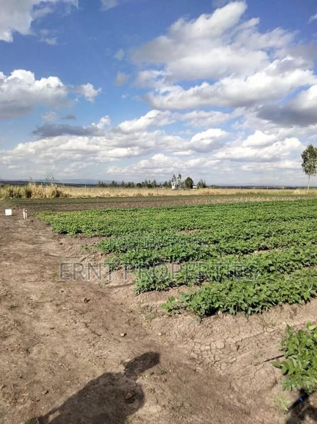 Dragon Fruit Farm — 16 Acres Earning-Ready*