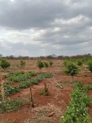 Dragon Fruit Farm — 16 Acres Earning-Ready*