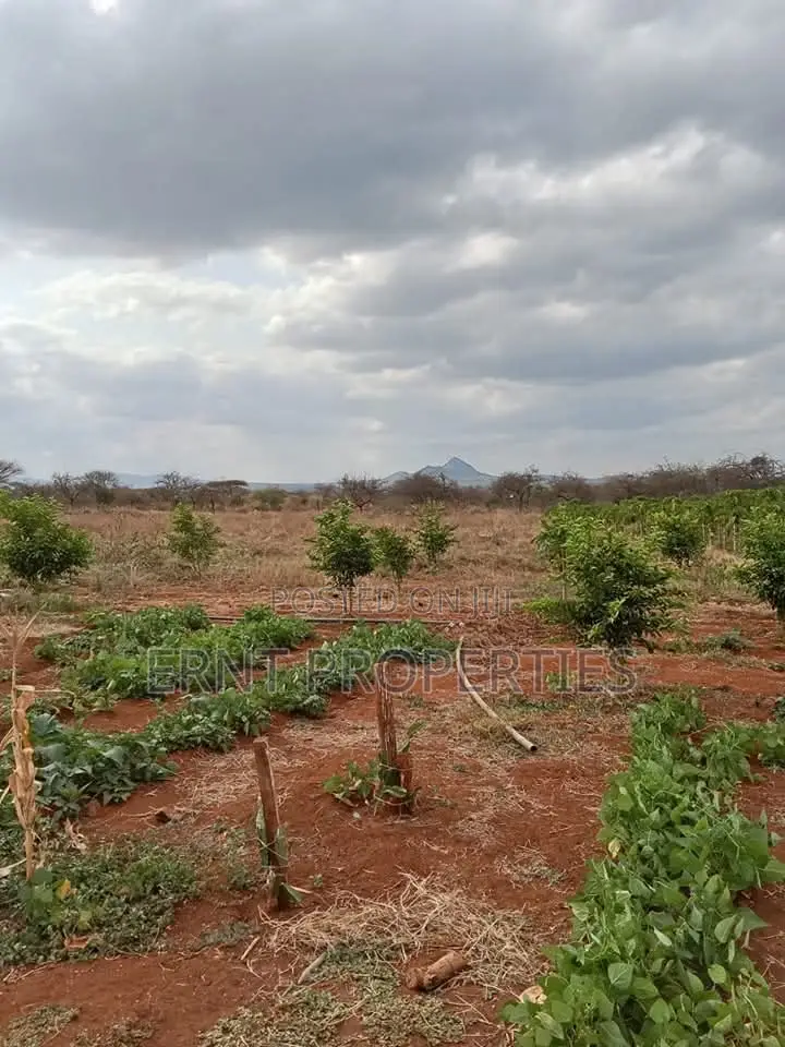 Dragon Fruit Farm — 16 Acres Earning-Ready*
