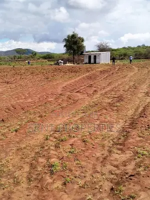 Dragon Fruit Farm — 16 Acres Earning-Ready*