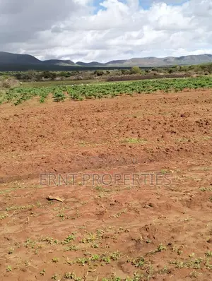 Dragon Fruit Farm — 16 Acres Earning-Ready*