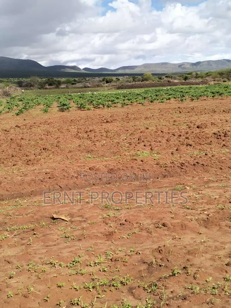 Dragon Fruit Farm — 16 Acres Earning-Ready*
