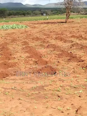 Dragon Fruit Farm — 16 Acres Earning-Ready*