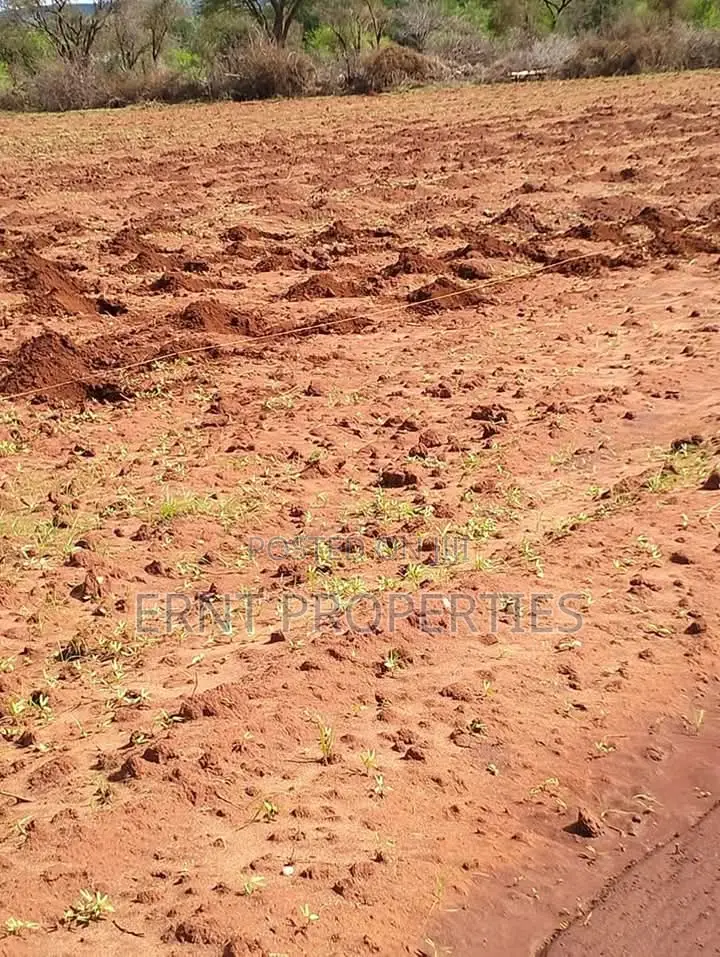 Dragon Fruit Farm — 16 Acres Earning-Ready*